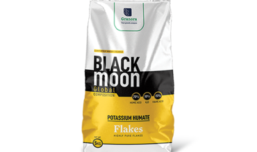 black moon