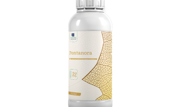Pontanora