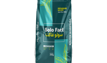 solo fact