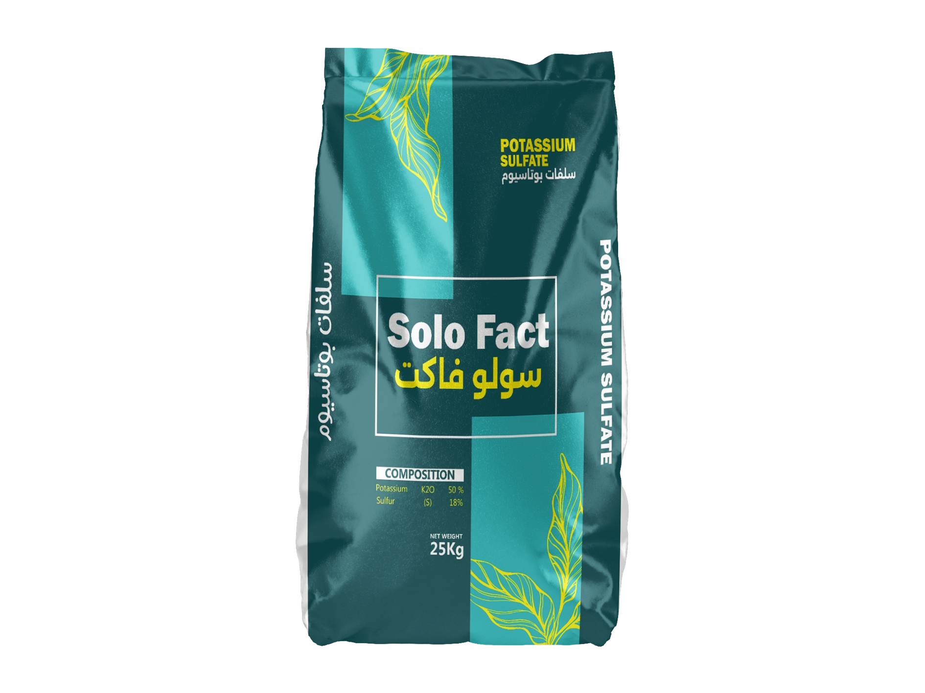 solo fact