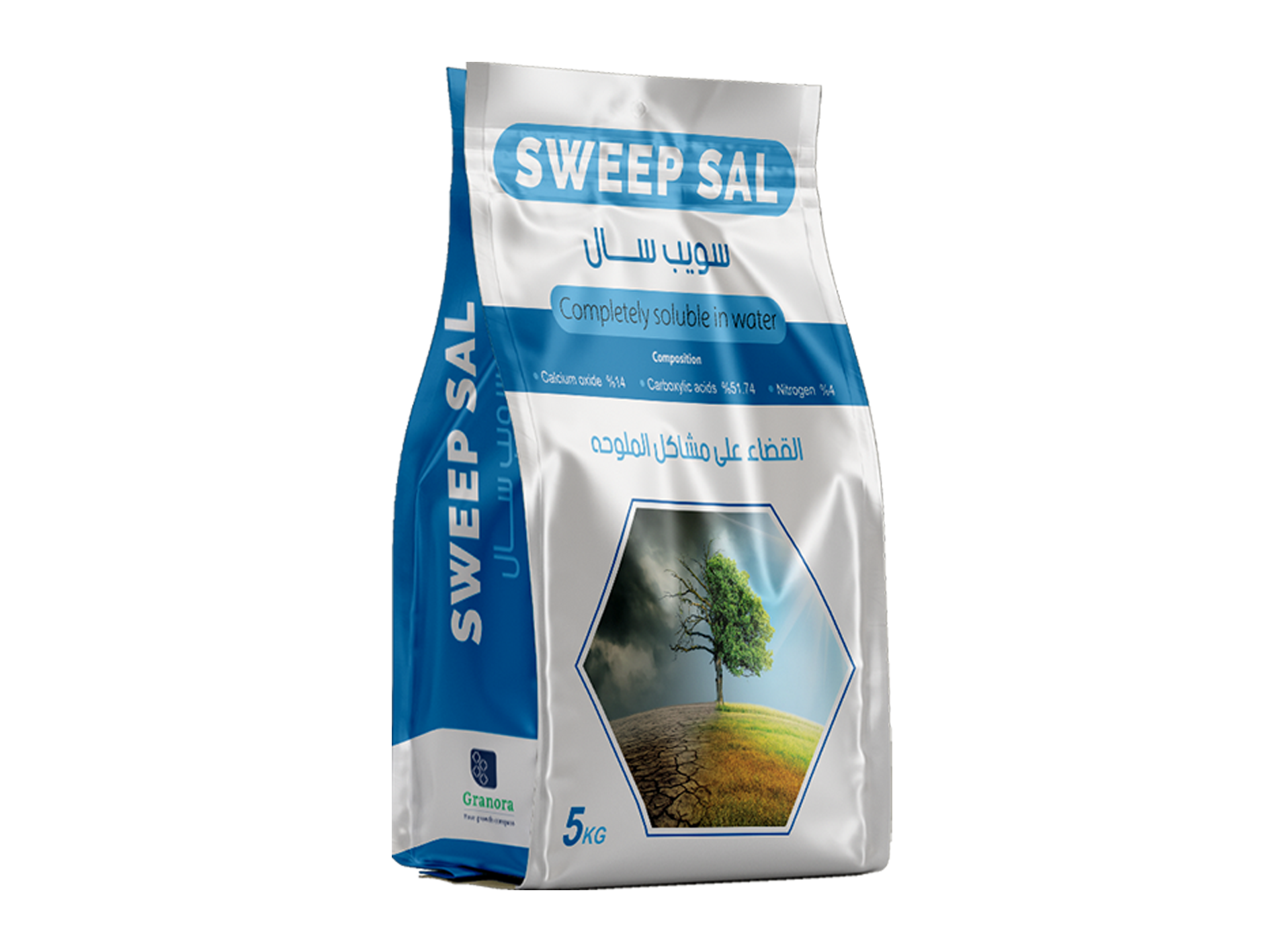 SWEEP SAL