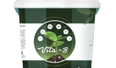 Vita B