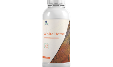 White Horse