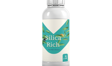 Silca Rich